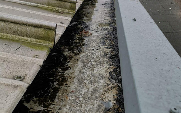 A commercial gutter with leaves and debris gathering